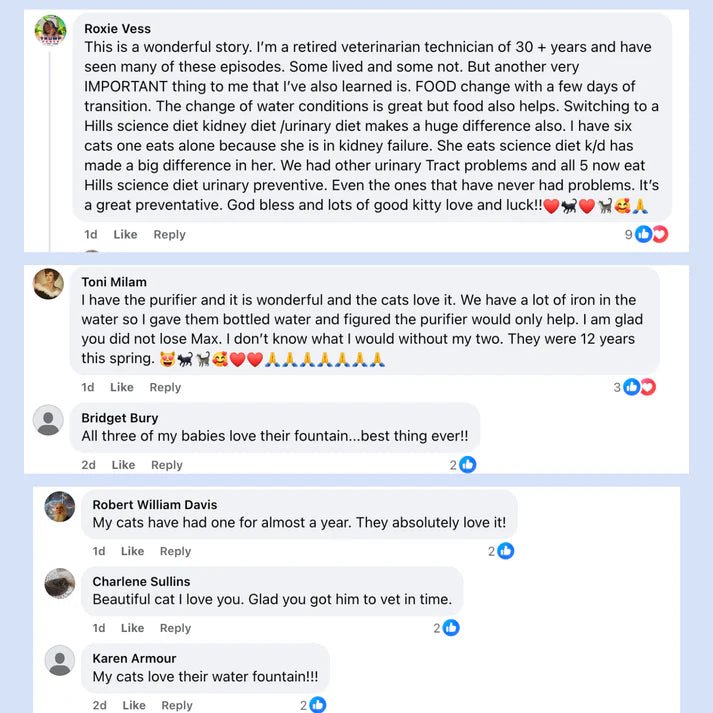 Trinkapets Trinkbrunnen - Trinkapets